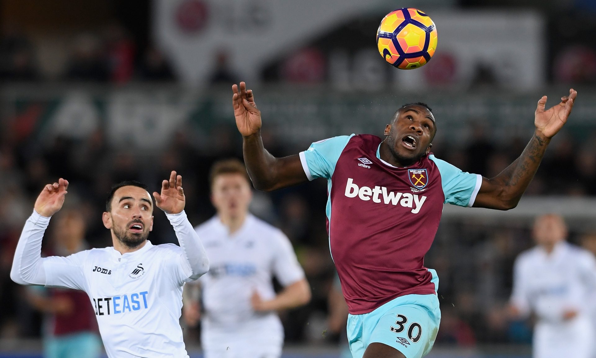 往往能够在 往往能够在