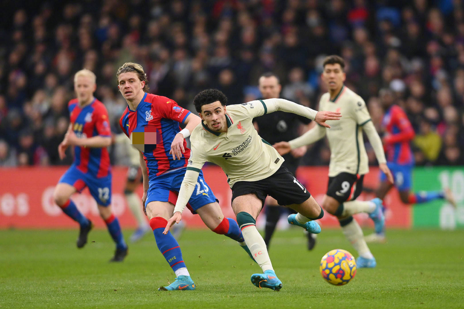 在他的带动 在他的带动